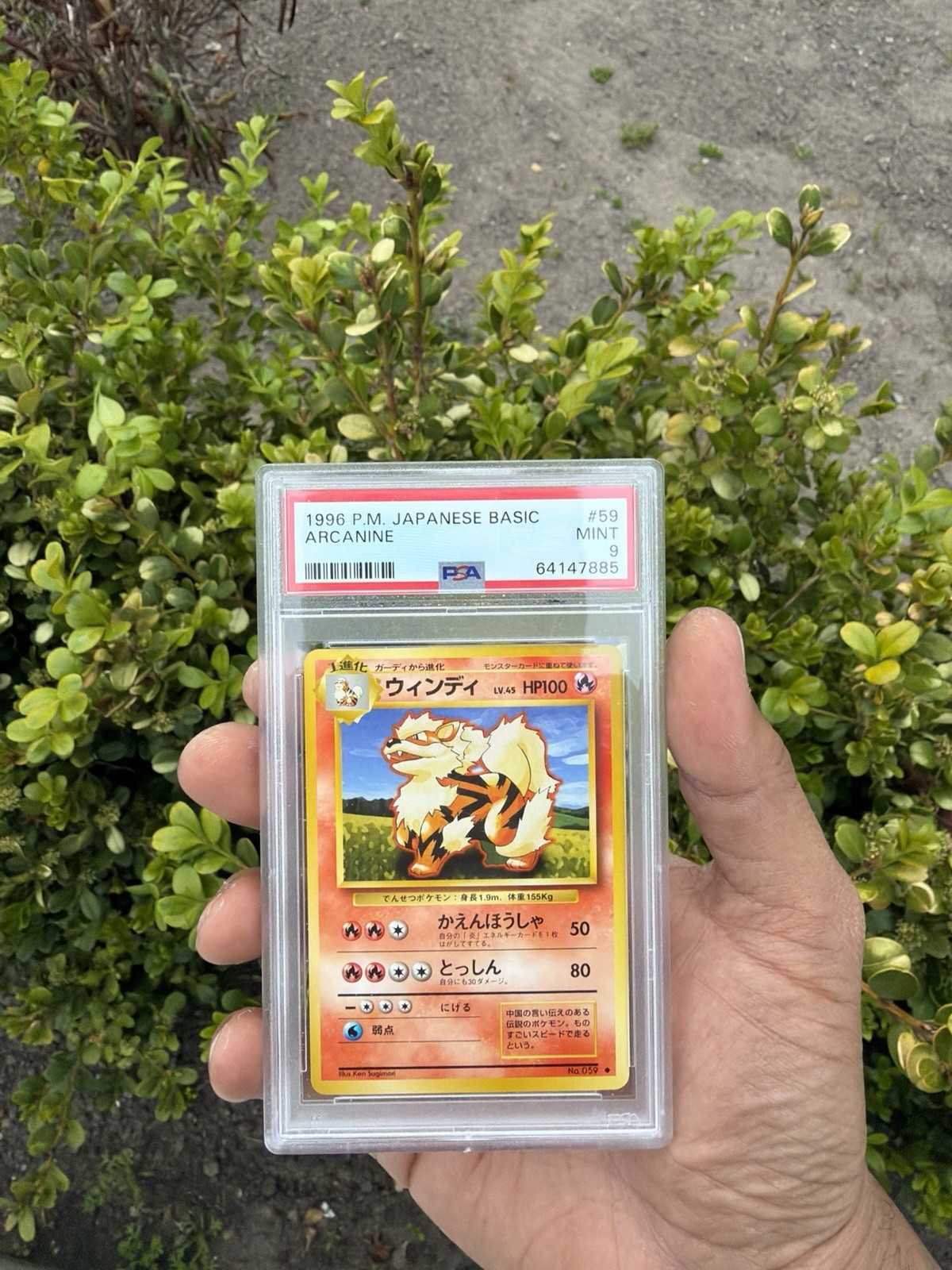 1996 POKEMON JAPANESE BASIC #59 ARCANINE PSA 9 mint