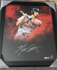 Matt Carpenter Autographed Signed 20x24 In Focus Photo Cardinals Fanatics
