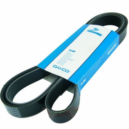 DAYCO 5PK1715S Cinghia poly-V Mercedes Classe A W168 Vaneo 414 1.7 CDI 98- - Immagine 2