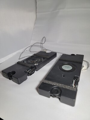 TV Speakers And Wires For Vizio 65'' 2020 TV Model # P65q9-h1
