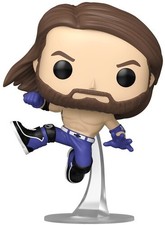2014 Funko Pop WWE Vinyl Figures 15