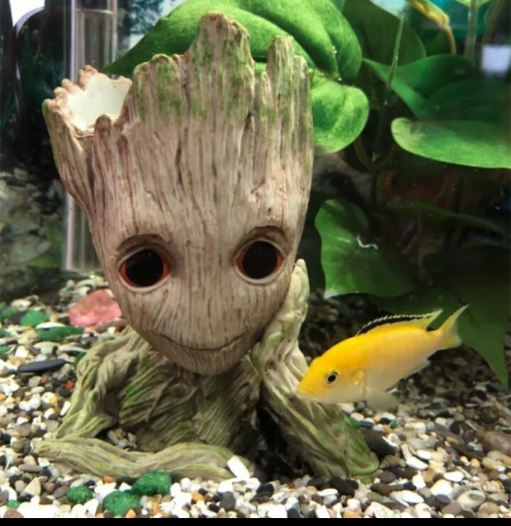 Décoration aquarium Groot sans danger pour poissons avec cachette intégrée