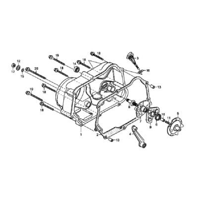 HONDA CRF 50 70 2004-2022 Motor Inbus Rostfrei Schraubensatz CRF50F CRF70F