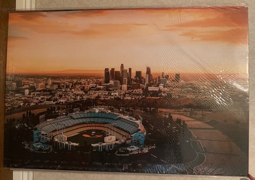 Los Angeles Dodgers MLB Baseball Stadium Poster 24x36 Poster NEW