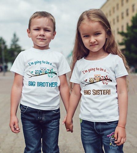 Big brother cute owl T-shirt /pregnancy 