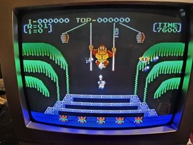 Donkey Kong Jr & Donkey Kong 3 Pulse Label Famicom NES Japan Import US Seller 
