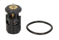 Thermostat Rover 820