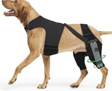 Dog Knee Brace Torn ACL Hind Leg Size M Orthopedic Rear Wrap Both Legs Pair