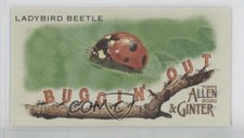 2020 Topps Allen & Ginter's Buggin' Out! Minis Ladybird Beetle #MBO-1 0t2