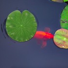 Bild 11 von 12