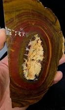 2005CT Yowah Nut BOULDER OPAL Australia Natural Vivid Purple Blue Wood Pattern