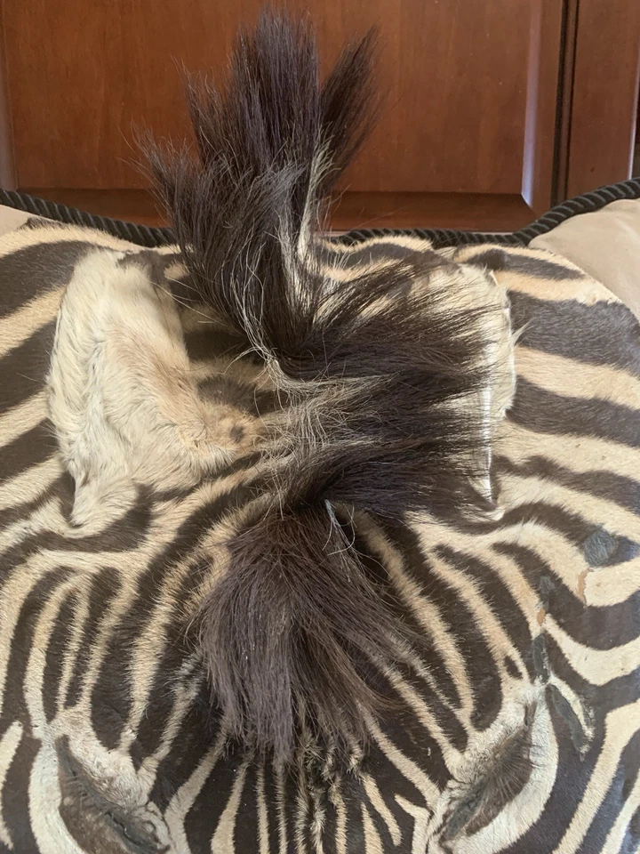 GENUINO COJÍN / ALMOHADA PIEL CEBRA MELENA 18" X 18" - NUEVO - ¡ESPECTACULAR! #Z9 Foto 2 de 4