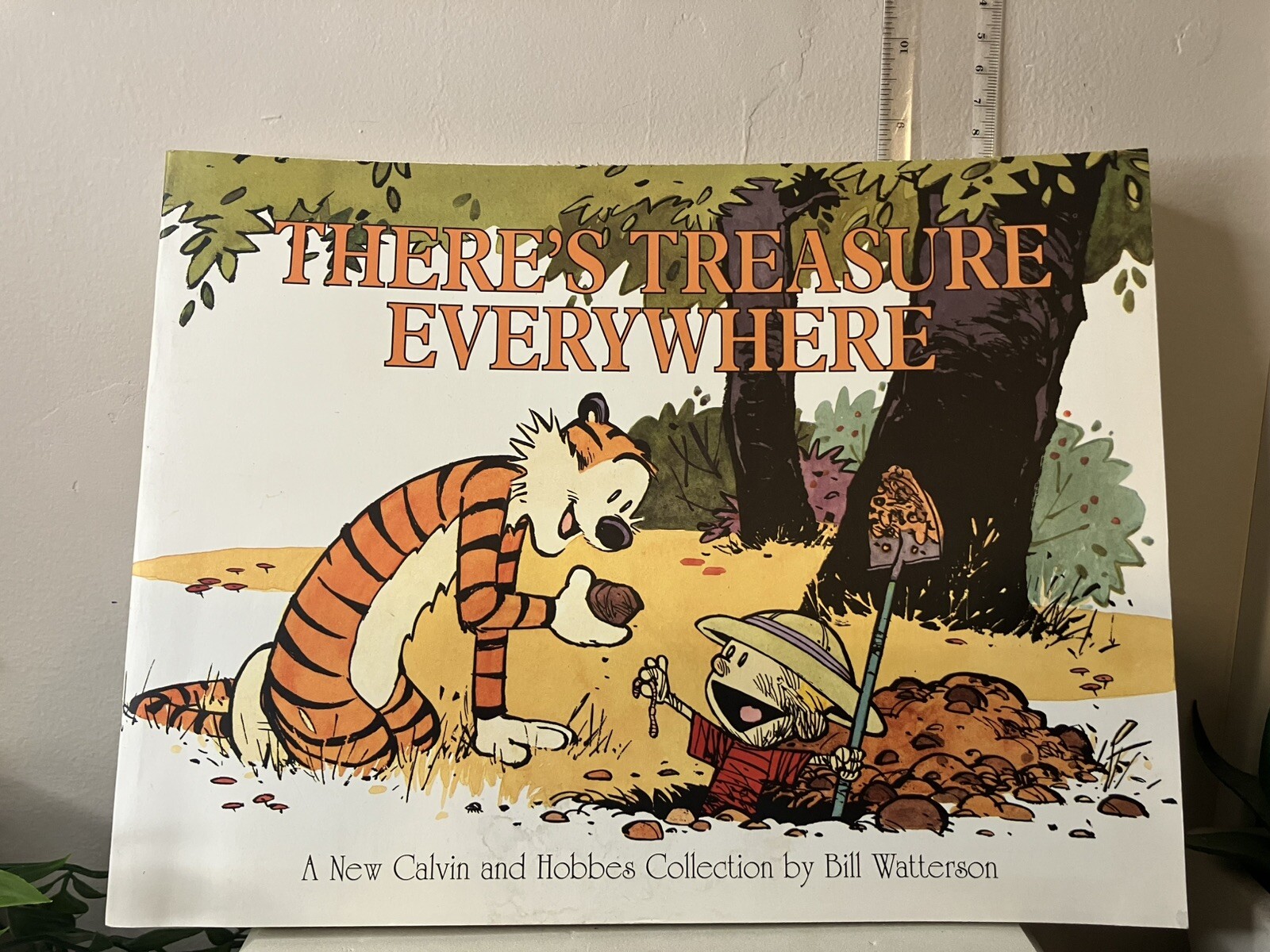 There's Treasure Everywhere--A Calvin and Hobbes Collection (Volume 15)
