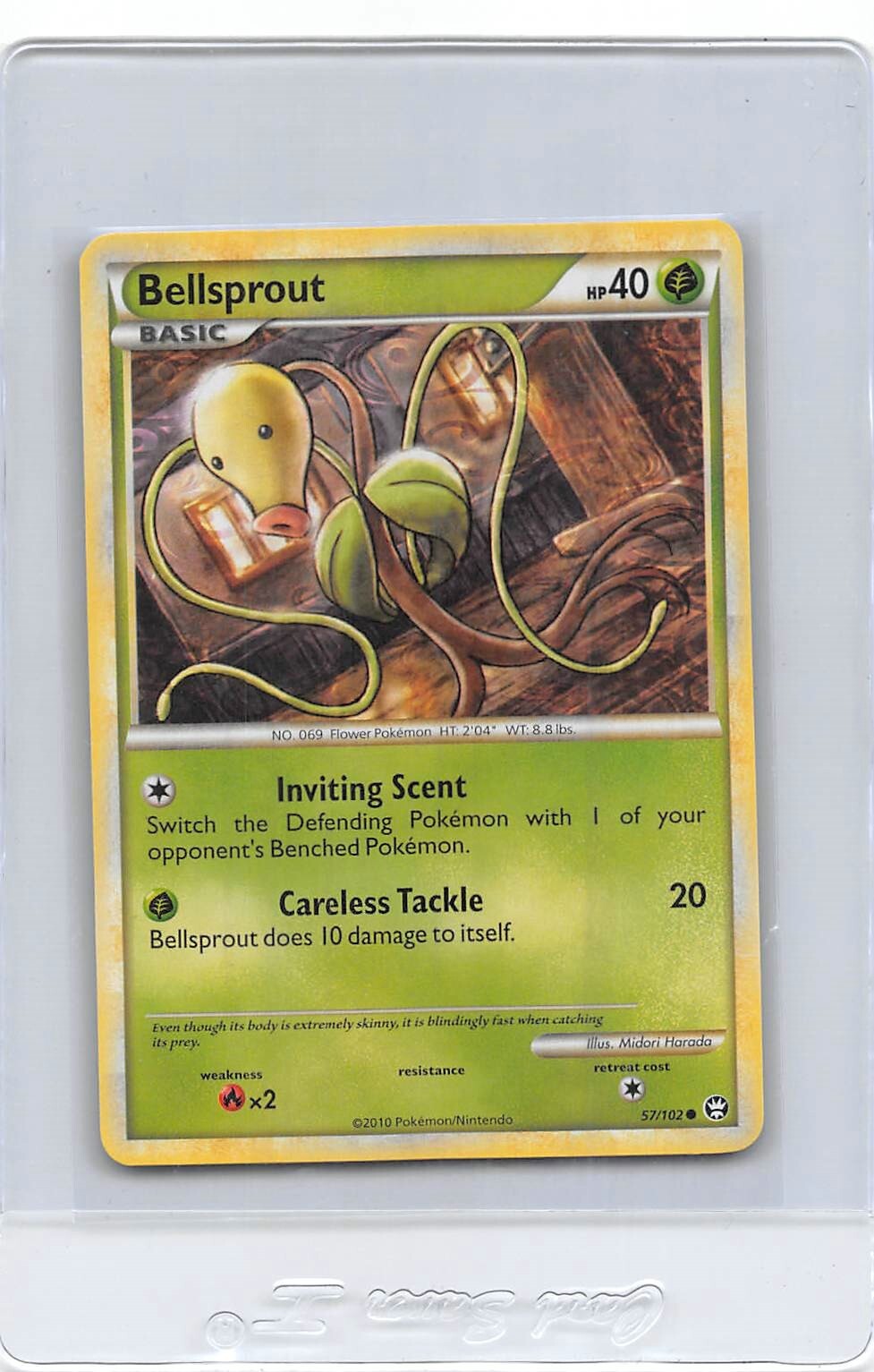 BELLSPROUT 57/102 - NON-HOLO - COMMON - TRIUMPHANT - 2010 Pokemon Card - NM