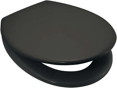 RTS ANTHRACITE / Dark SLATE Grey Toilet Seat Soft Close Duroplast 1 Button Release