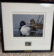 1989 Lesser Scaup Federal Duck Stamp Print - Black Frame