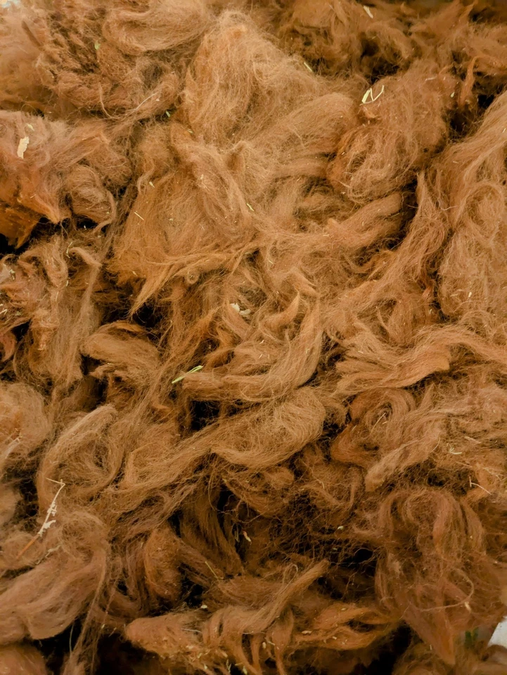 Raw Alpaca Fleece Wool Seconds Spinning Felting Crafts, Red Brown, 8 Oz - Image 2 of 2