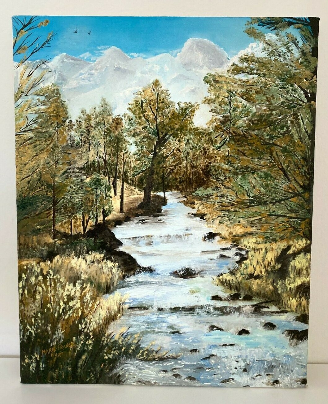 Bild 1 von 12