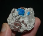 Cavansite on matrix mineral specimen India #2401