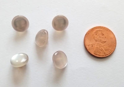 5/pcs Buttons very small Size Diameter=3/8'' (9mm) 2 Holes in the back light Gray