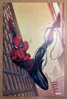 Spider-Man #1 - Iban Coello PANINI GERMANY VIRGIN (US ASM 75) Ltd 222 RARE • NM