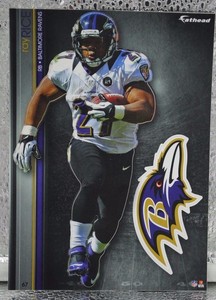 ray rice rutgers jersey