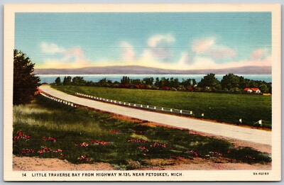 Little Traverse Bay Highway M-131 Petoskey Michigan VINTAGE Postcard