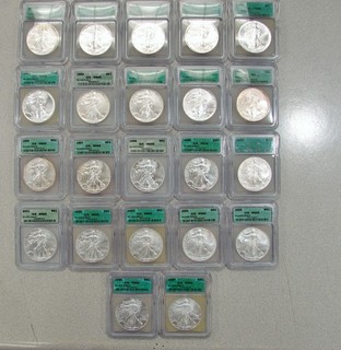 Lot 22 ICG MS69 American Silver Eagles 1986 2007 Consecutive Dates 1 oz Toning
