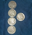 dateless buffalo S D nickels 5 U S Coins total