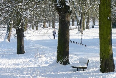 Foto 6x4 Prospect Park Reading Donnerstagmorgen, nach dem schwersten Schnee c2010