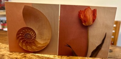 Pair of Art Prints on Maple 12x12 - Artist Deborah Schenck