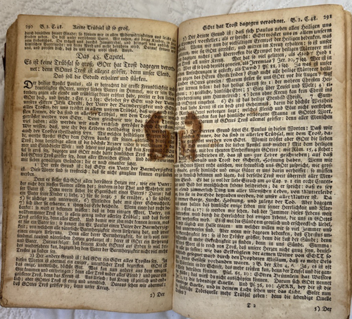 VTG Six Books On True Christianity 1760 Johann Arndt Wahtes Chistentum German Ed - Picture 9 of 19