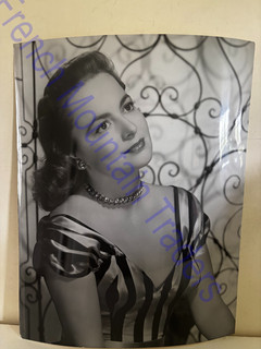 Olivia De Haven by Frank Powolny 13.5x10.5" Photo Original Excellent 13A18