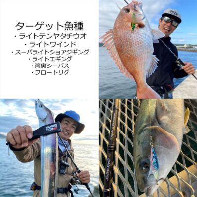 Abu Garcia Salty Style Triple Concept SSTS-912LT Plus-KR Shore
