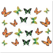 Jaysea Arts - Water Transfer Nail Decals Green Orange Monarch Butterflies - B4G1