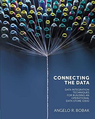 Connecting the Data: Data Integration Techniques for Building an