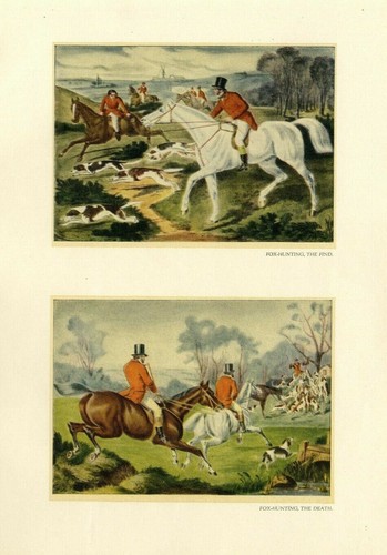 red coat fox hunting