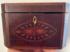 ANTIQUE SCOTTISH (or IRISH) EARLY TEA CADDY WITH BEE