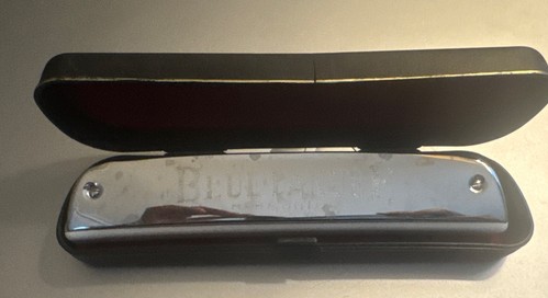 The Original Blue Danube Harmonica With Original Case 24 Hole - Picture 2 of 4