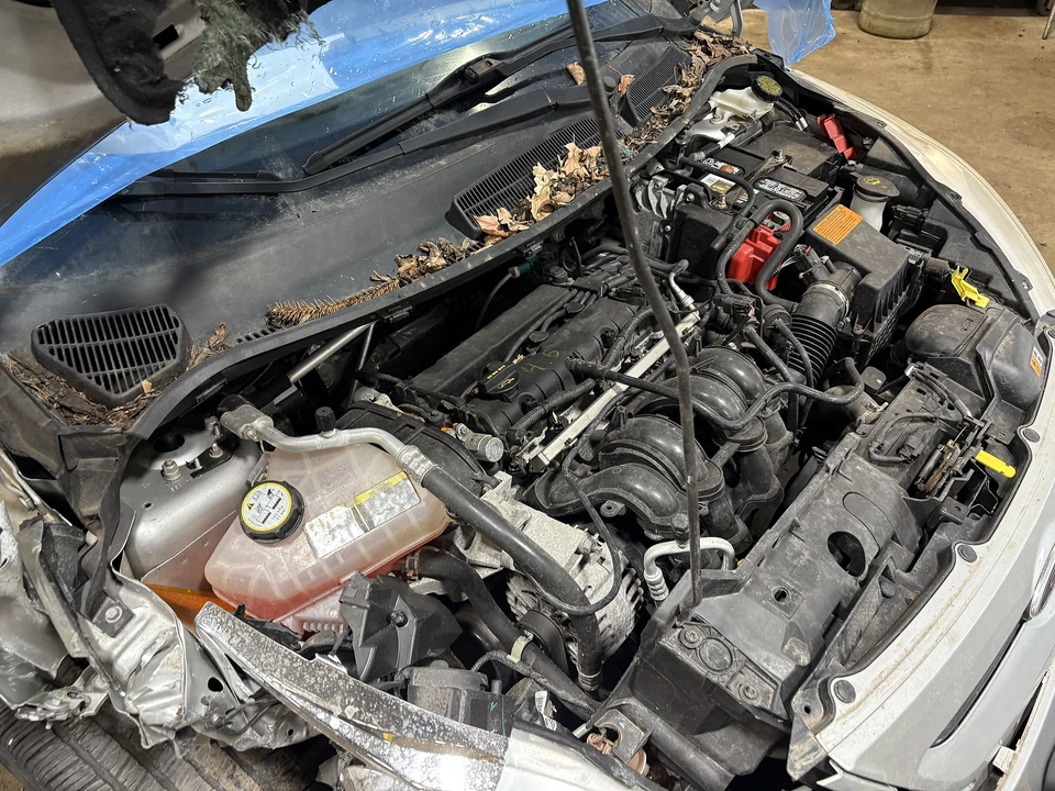 Módulo de control del motor usado (ECM) se adapta a: Ford Fiesta 2013 módulo de control electrónico Foto 2 de 4