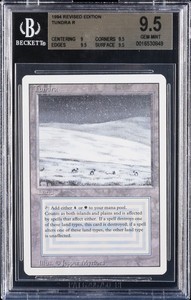 Magic The Gathering Tundra | eBay