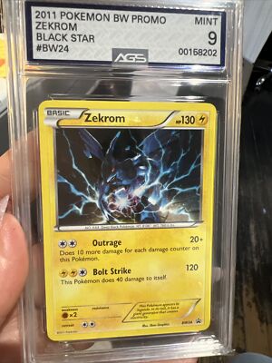 病院の待合室にて CG_S008 PR promo card Pop 8 2011 Black Star Promo Zekrom Holl BW024 - Rare Pokemon Card