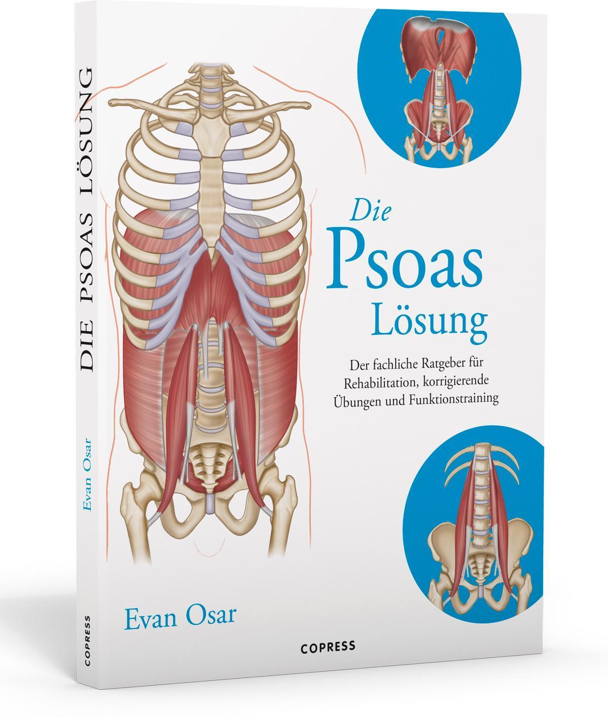 Die Psoas-lösung Evan Osar