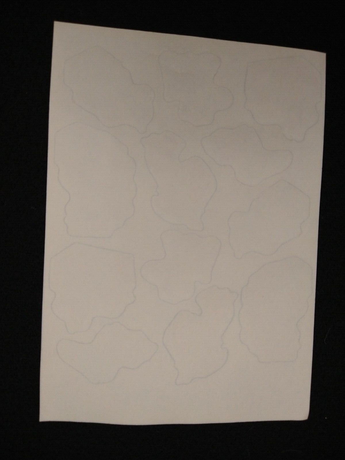 Picture 9 of 11