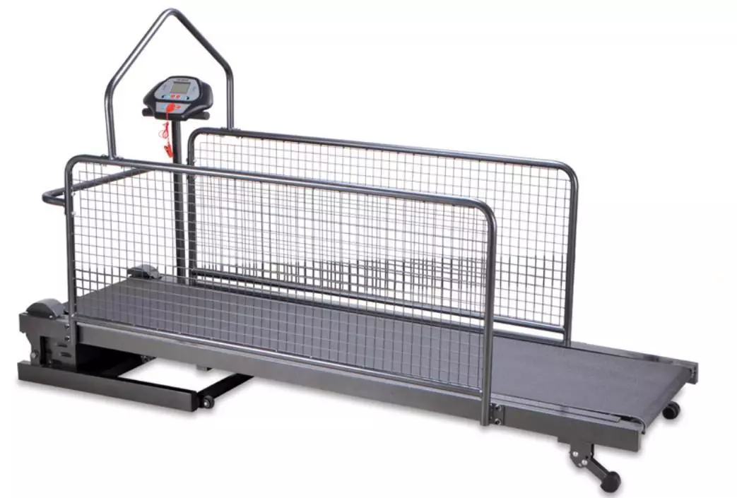 Dog treadmill ebay sales
