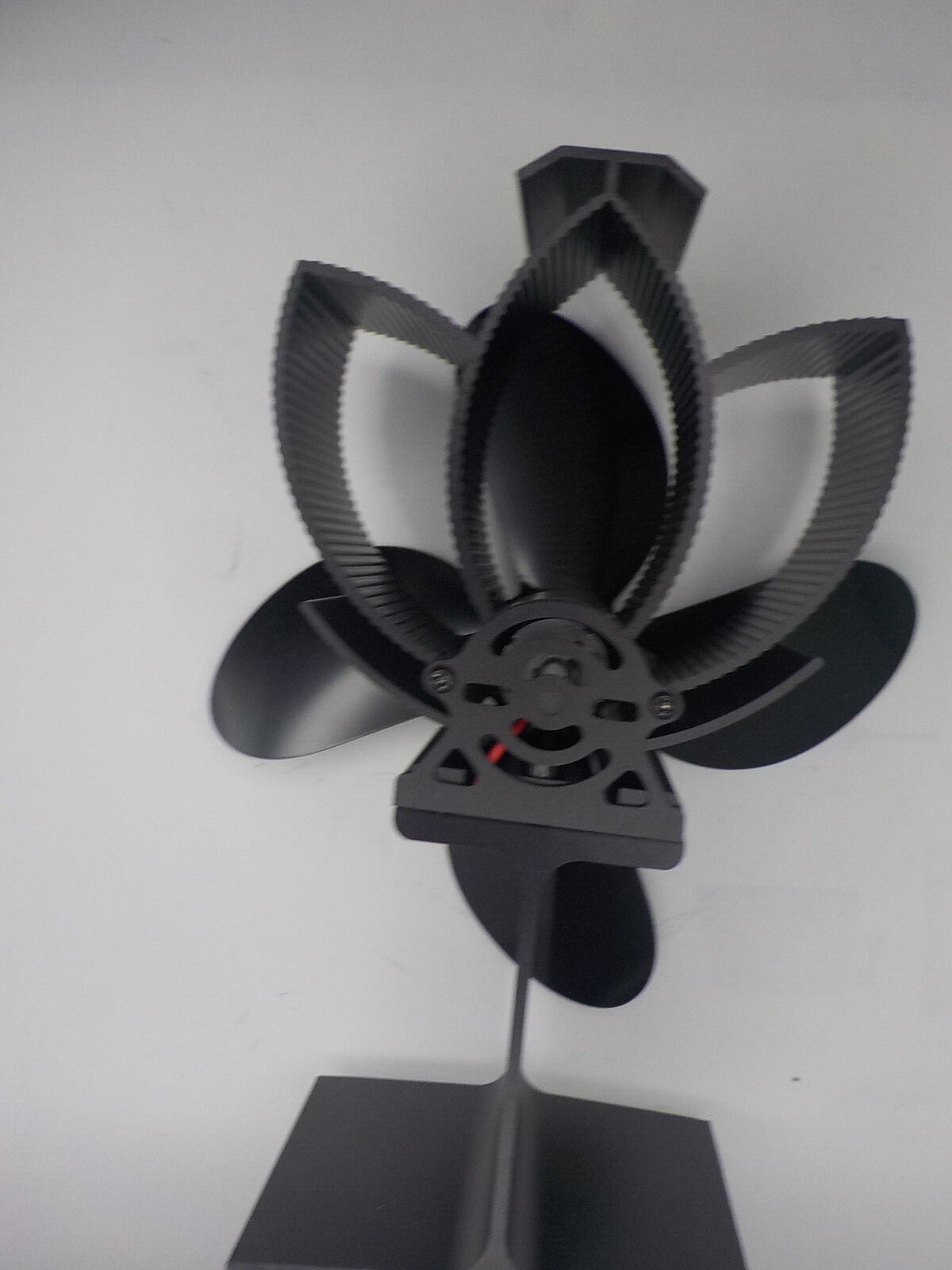 Picture 6 of 6