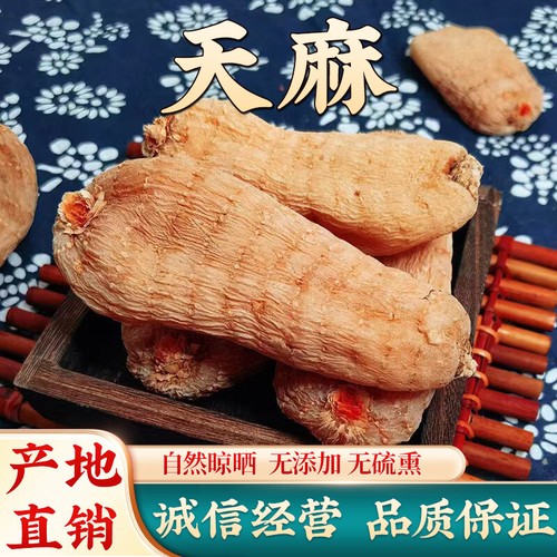 云南邵通天麻 三年一采 Tian Ma / 500g Czysta ziołowa gastrodia Elata Korzeń / Khizoma gastrodia - Zdjęcie 1 z 11