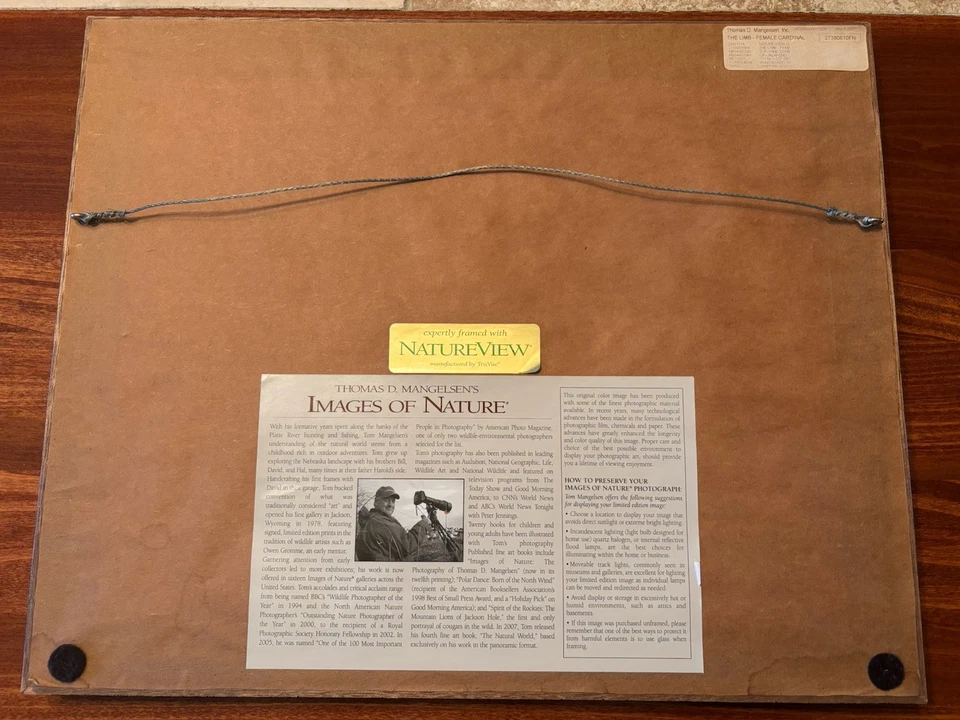 Impresión fotográfica firmada por Thomas Mangelsen The Limb-Female Cardinal Limited enmarcada Foto 4 de 4