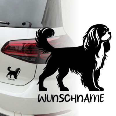 Auto Aufkleber | Cavalier King Charles Spaniel Hund  | Wunschname Sticker 280