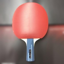 Chinese-Style Pen, Nittaku Legnos C With Rubber